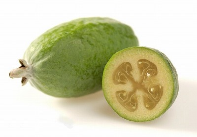 Feijoa_HortResearch.jpg