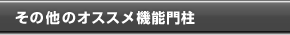 その他のオススメ機能門柱