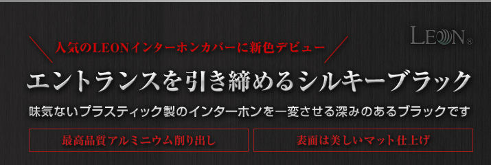 エントランスを引き締めるシルキーブラック